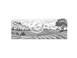 vineyards 001